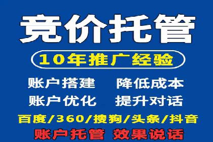 热门SEM运营公司案例深度剖析